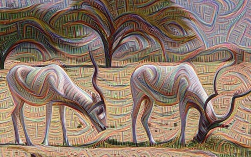 Próbka „sztuki” komputerów, czyli działania sieci neuronowych Deep Dream