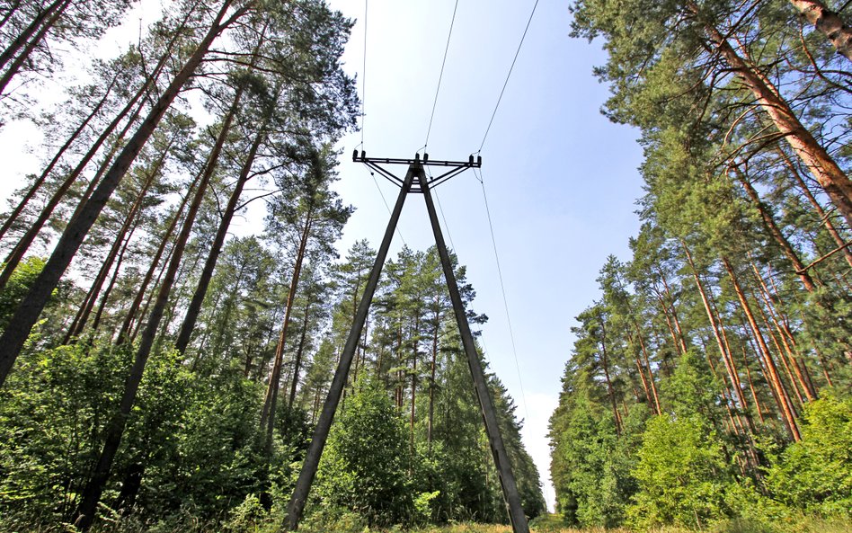 Mrożenie cen energii popłaca. Spółki Skarbu Państwa zyskują, a miały dopłacać