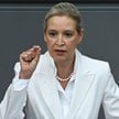 Alice Weidel
