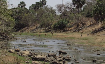Ghana: Miesiączka? Nie przekraczaj rzeki. Wola boga