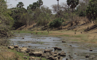 Ghana: Miesiączka? Nie przekraczaj rzeki. Wola boga