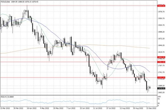 Notowania złota – dane dzienne