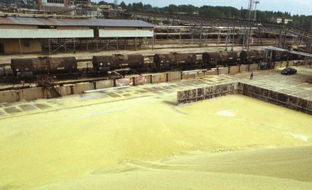 Grupa Azoty: Kopalni siarki Osiek rośnie konkurencja