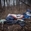 Gmina Narewka. W lesie odnaleziono zwłoki migranta