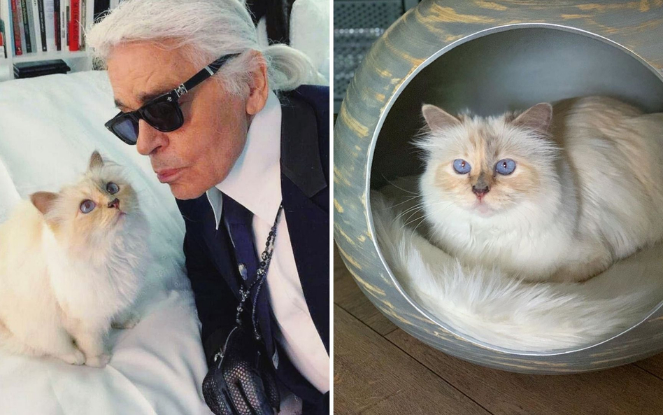 Fot: Choupette Lagerfeld/ Facebook