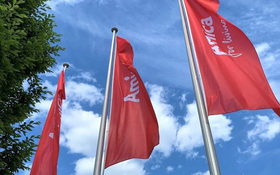 Amica liczy na wzrosty w Europie