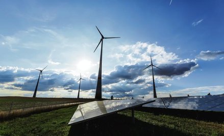 Przychody z elektrowni słonecznej na składowisku odpadów i sprzedaży zrębków drewna miejskie przedsi