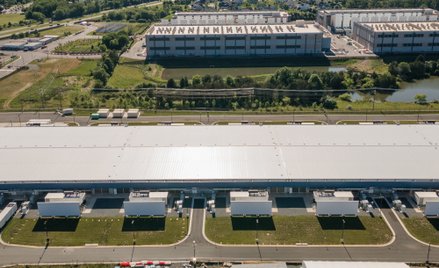 Microsoft chce uniezależnić się od Nvidii. Ma już konkretny plan