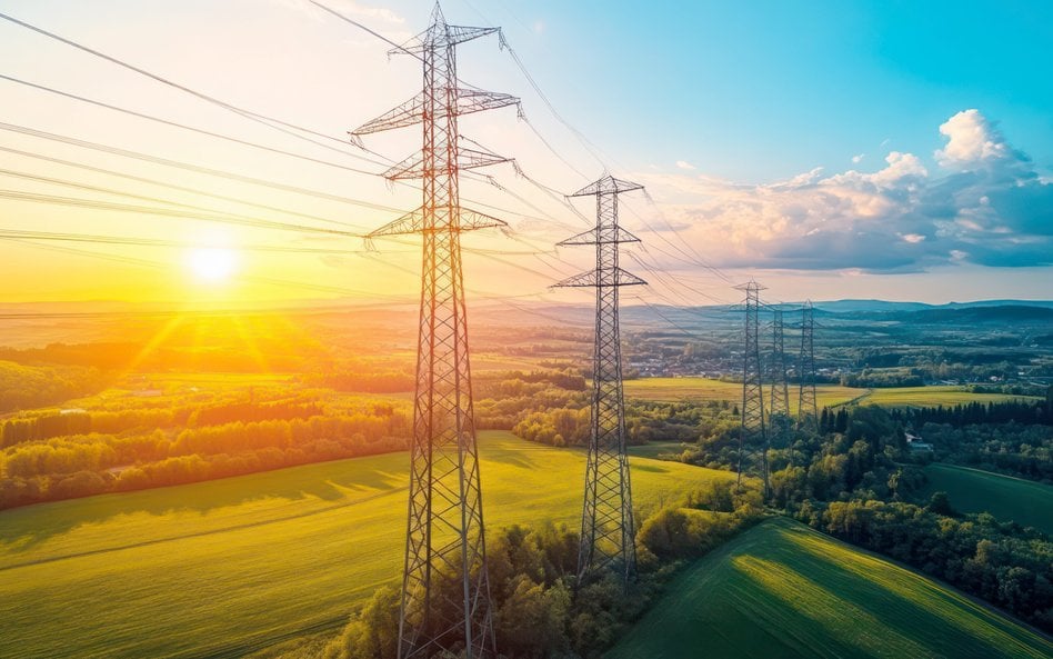 Polskie Sieci Elektroenergetyczne, odpowiedzialne m.in. za rozbudowę sieci przesyłowych z północy na