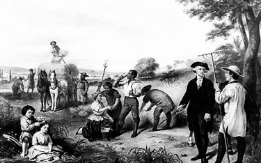 Waszyngton odziedziczył po ojcu 140 ha ziemi w Wirginii. Na plantacjach tytoniu w jego majątku Mount
