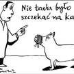 Komentarz rysunkowy. Nie szczekać na karawanę