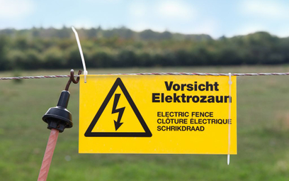 ASF: Niemcy budują elektryczny płot na granicy z Polską