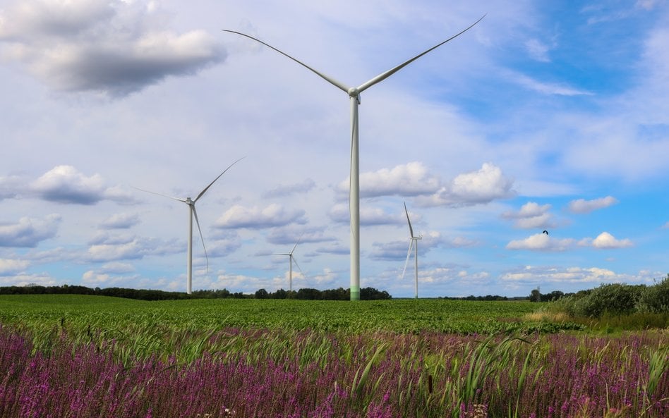 Jedna z farm wiatrowych tworząca potencjał wytwórczy OZE Grupy Enea