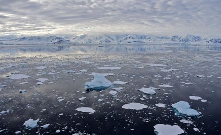 Rekord temperatury na Antarktydzie. Już blisko 20 stopni
