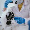 Biotechnologia nad klifem. Rusza walka o najciekawsze aktywa