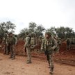 Pięciu tureckich żołnierzy zginęło w Syrii
