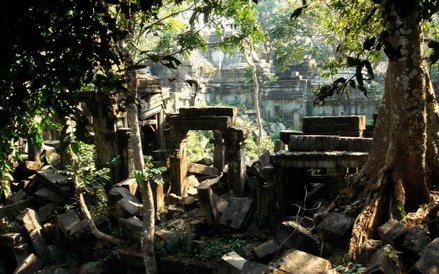 Osobliwa atmosfera dramatycznego pojedynku z siłami przyrody w Ta Prohm