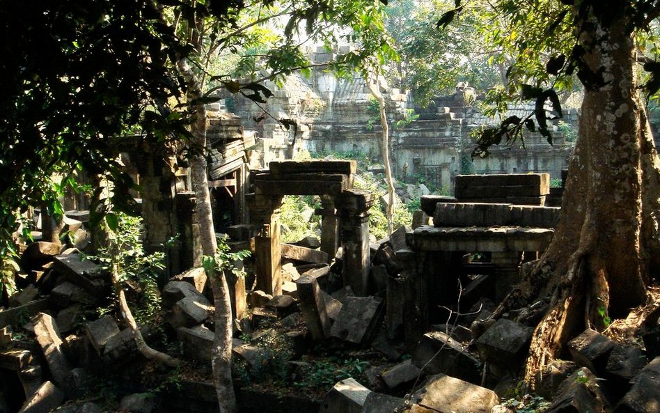 Osobliwa atmosfera dramatycznego pojedynku z siłami przyrody w Ta Prohm