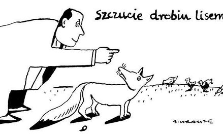 Komentarz rysunkowy. Szczucie lisem