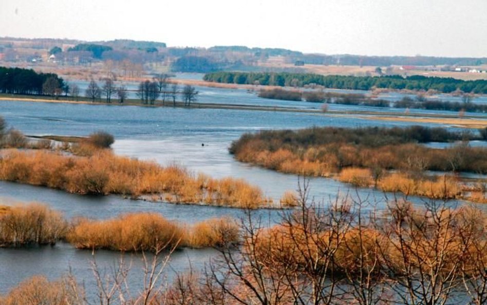 Podlasie ma największą powierzchnię parków narodowych w kraju (na zdjęciu Biebrzański PN).