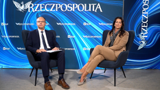 Agnieszka Pałys, Dyrektor pionu prawnego i organizacyjnego