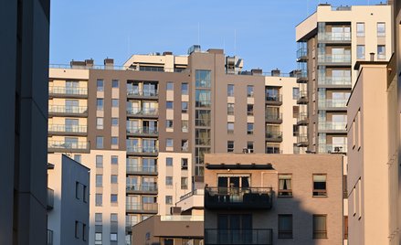 Nowe opłaty na Otodom wywołały bunt. Pośrednicy mówią o chaosie