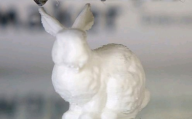Naukowcy wydrukowali w 3D plastikowego królika, w którego DNA zapisali instrukcję druku tego modelu