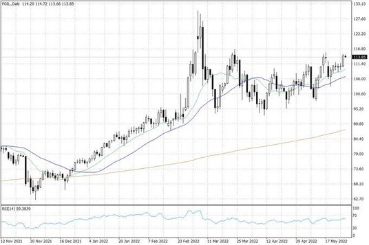 Notowania ropy naftowej WTI – dane dzienne