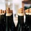 W 2022 roku dużo wina sprzedały Rosji Hiszpania i Gruzja. Wzrosła też sprzedaż włoskiego prosecco  i