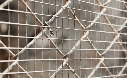 Izrael: Rodzice zamykali 14-latka w klatce