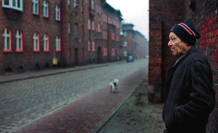 Familoki na Nikiszowcu: pusto