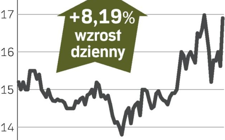 Duże zlecenia podbiły notowania