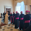 Polscy biskupi na spotkaniu z papieżem Franciszkiem