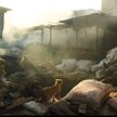 Dharavi – slumsy na sprzedaż