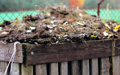 Przydomowy kompostownik obniży opłatę za wywóz śmieci