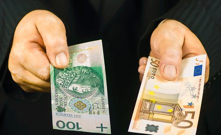 Kurs złotego trzyma się mocno. Frank traci