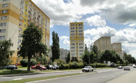 Były radny PiS Janusz Jagielski został pobity, gdy roznosił ulotki wyborcze na osiedlu Kaliny w Szcz