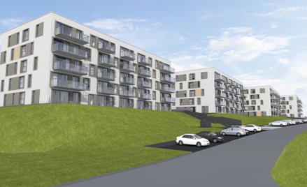 Zdrojowa Polana w Zielonej Górze