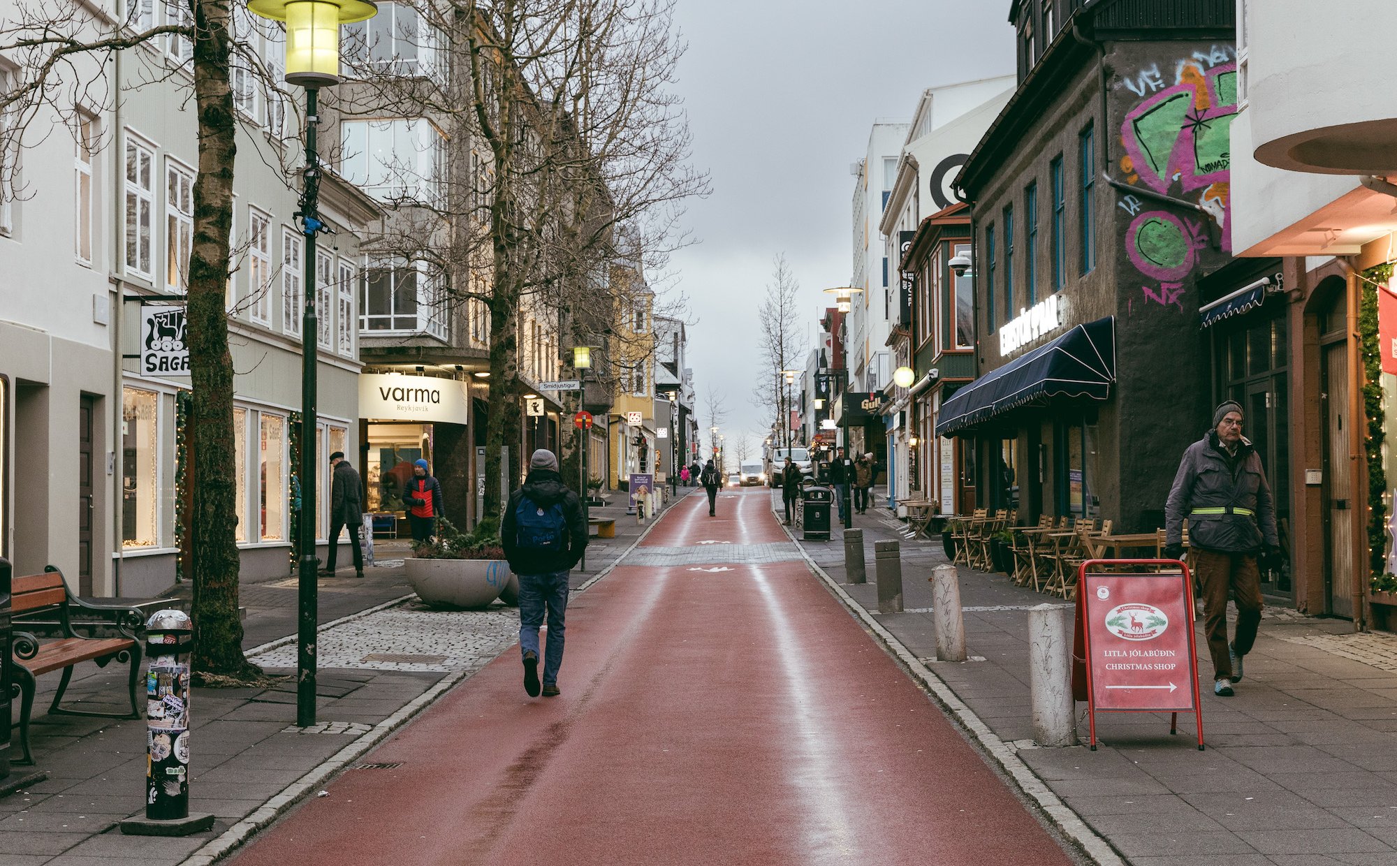 Komary dotarły na Islandię pierwszy raz w historii. W kraju poruszenie