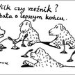 Komentarz rysunkowy