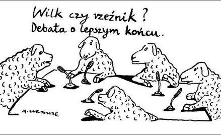 Komentarz rysunkowy