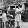 Warszawa, wrzesień 1946 roku. Modelka prezentuje strój kobiecy na jesień