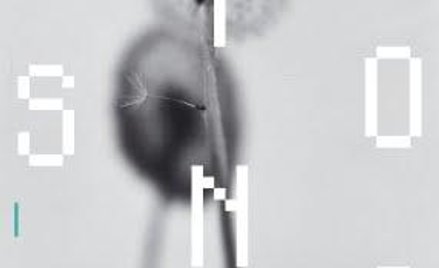 Michał Łuczak / Michał Dąbrowski WIOSNA