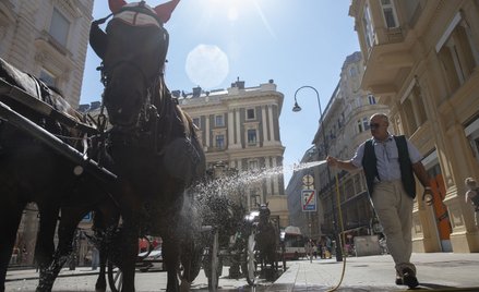 W centrum miasta podobne przepisy już działają od kilku lat