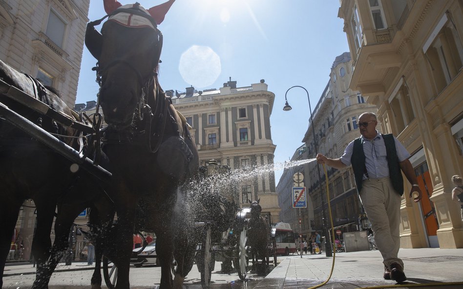 W centrum miasta podobne przepisy już działają od kilku lat