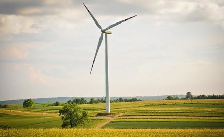 Energetyka wiatrowa w Polsce to najszybciej rozwijająca się w ostatnich latach technologia odnawialn
