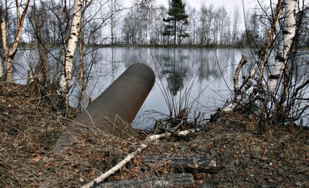 Kombunat celulozowy zatruwa jezioro Bajkał