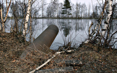 Kombunat celulozowy zatruwa jezioro Bajkał