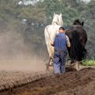 Korzystne zmiany emerytalne dla rolników
