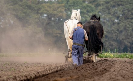 Korzystne zmiany emerytalne dla rolników